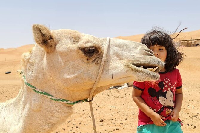 2-Day Private Wahiba Sands Desert Camping Tour from Muscat - Wadi Tiwi’s green pause before the dunes