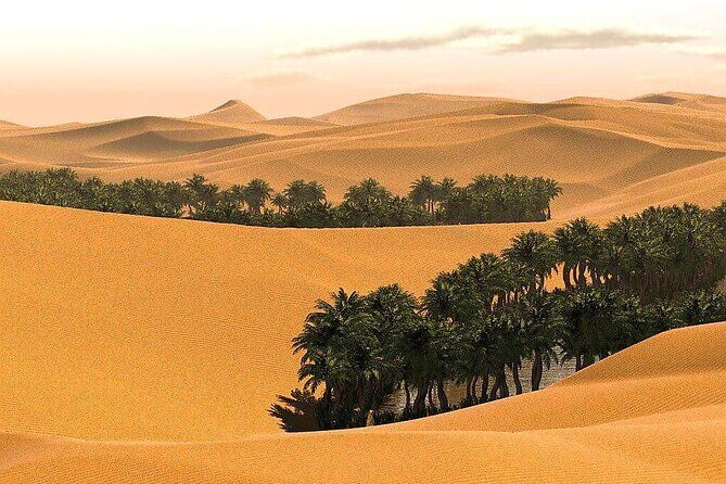 2 Days and 1 Night Private Wahiba Sands Desert Tour - Bedouin Family Visit: What You’re Actually Getting