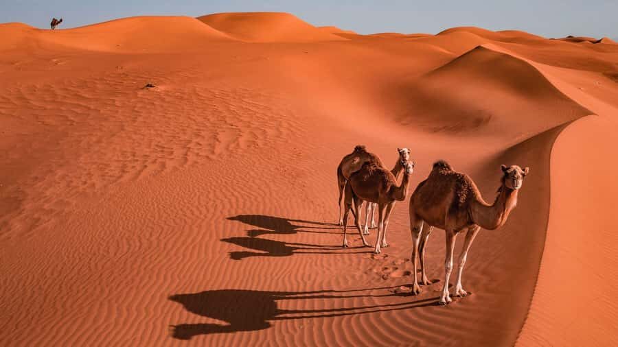 2 Days and 1 Night Private Wahiba Sands Desert with Wadi - Ibra tea stop: a calm second act on the return
