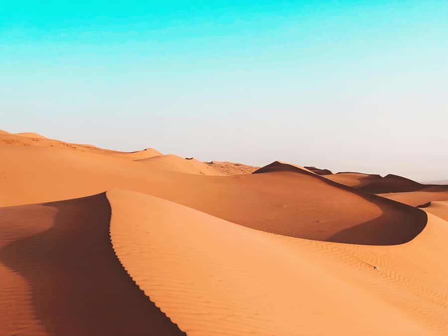 2 Days and 1 Night Private Wahiba Sands Desert with Wadi - Who should book this private desert trip, and who should skip it