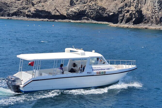 2 Hours Dolphin Watching Cruise in Muscat - Closest viewing and dolphin behavior: what the captain does at the stop