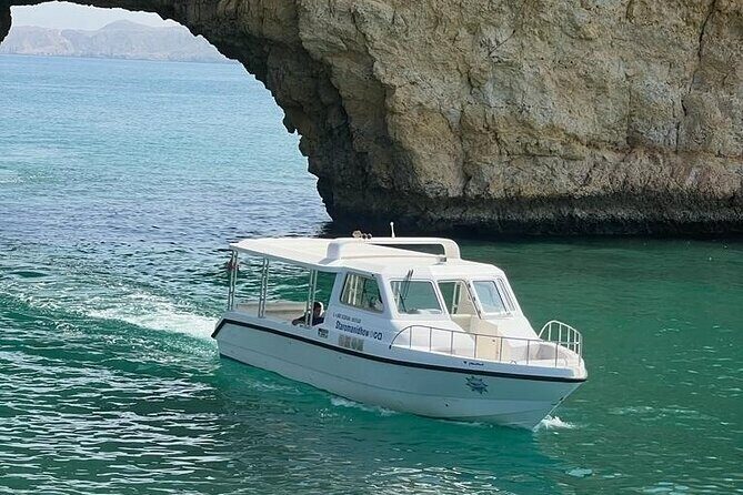 2 Hours Dolphin Watching Cruise in Muscat - Species in Oman: what you may be looking for during the cruise