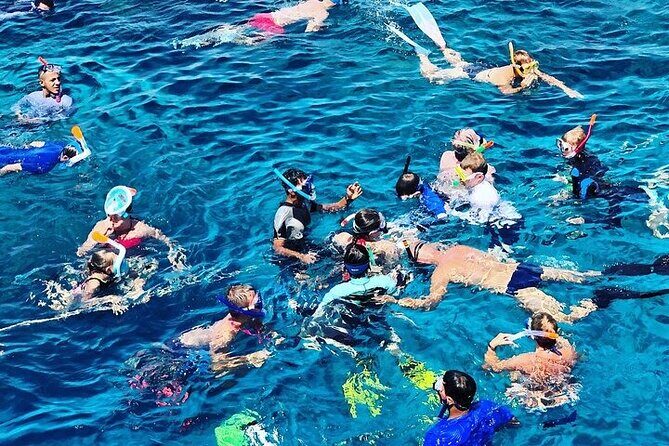 3 Hour Snorkeling and Dolphin Watching Experience in Muscat - Key things that matter before you go