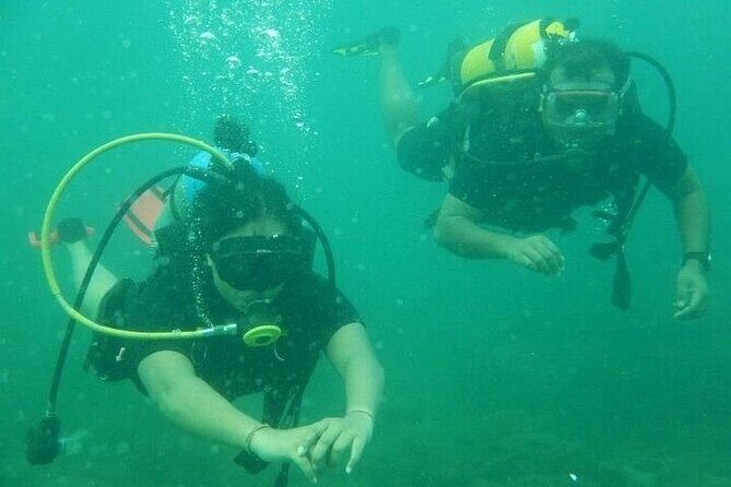 3 Hour Snorkeling and Dolphin Watching Experience in Muscat - Muscat water: why this outing works for snorkeling and dolphins