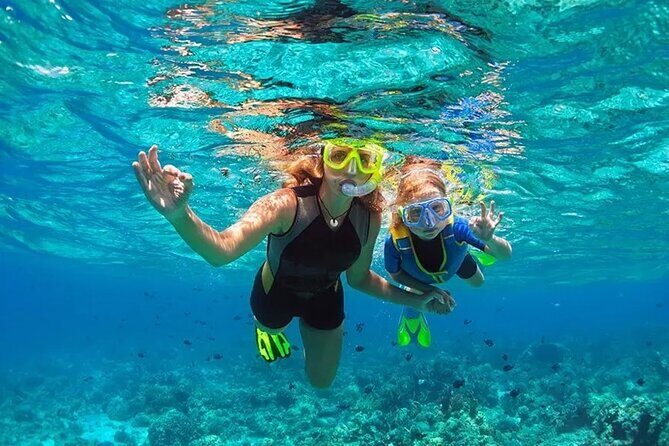 3 Hour Snorkeling and Dolphin Watching Experience in Muscat - Who should book this Muscat dolphin and snorkeling trip
