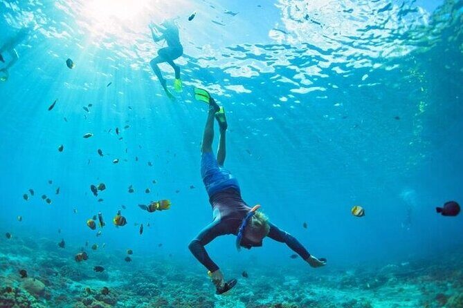 3 Hour Snorkeling and Dolphin Watching Experience in Muscat - Gear and certified guidance for all snorkeling levels