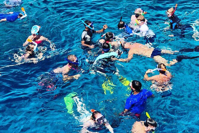 3-Hr Private Snorkeling and Dolphin Watching Tour at Muscat - Price and value: $549 for a group up to 12