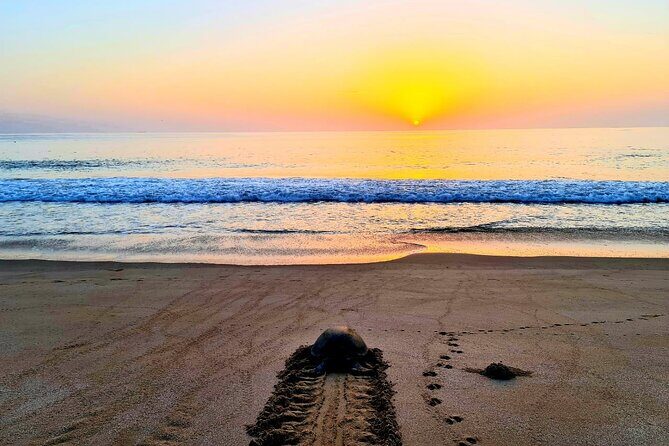 4 Days 3 Nights Package Oman Private Tour - What Makes This Oman Package Work So Well