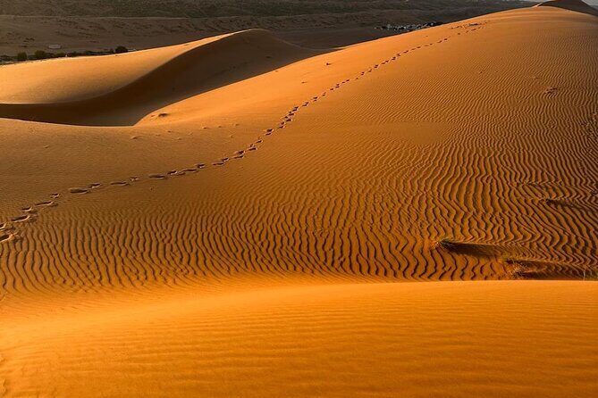5 Days 6 Nights Private Tour in Oman - Old Muscat Through Museums and Mutrah Market Lanes