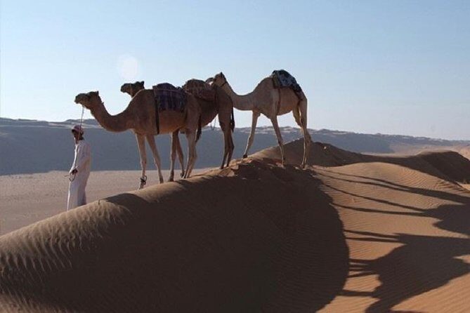 5 Days Package TOUR DINA - Getting Picked Up in Muscat Without the Hassle