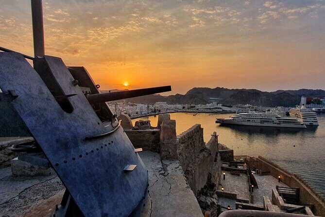 5 Hours Private Tour in Muscat City - Al Alam Palace and the forts: what you can see from the outside