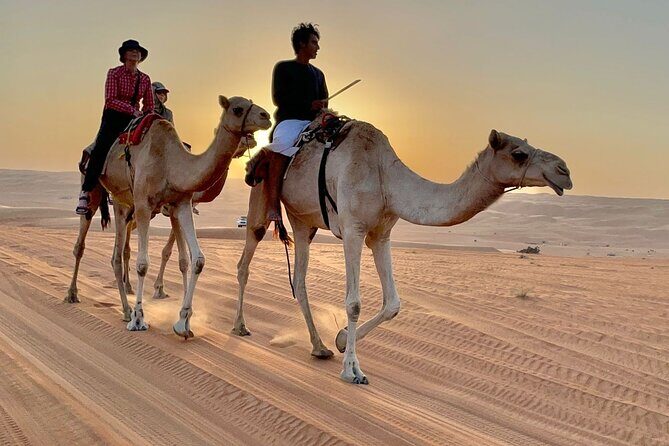 7-8 Hours Private Desert Adventure Trip with Activities - The Wadi Fanja Photo Stop: A Quick Reset Before the Dunes
