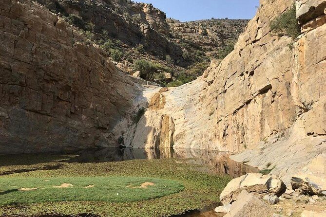 A Mirage In The Mountain - Price and Value: Is $220 Per Person Fair?