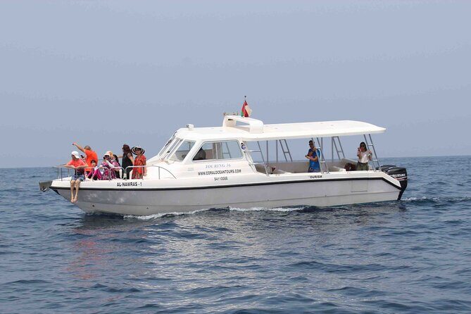 Amazing Dolphin Watching Tour In Muscat - Species you might see: spinner, bottlenose, Risso, and friends