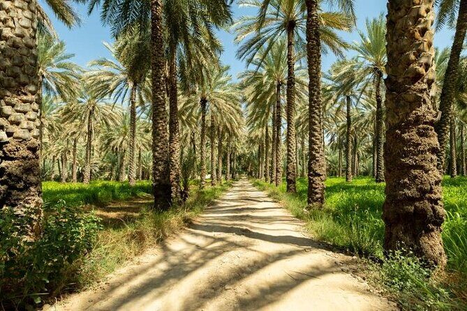 Amouage & Nizwa Full-Day Tour: Fort, Souq & Barakat Al Mouz - Falaj Al-Khatmeen: the short stop that teaches a big idea