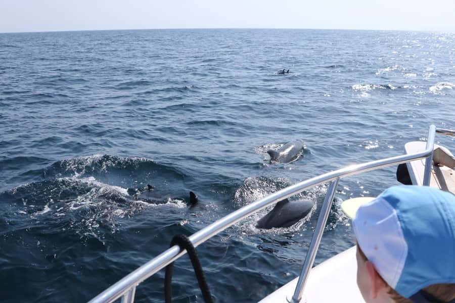 Bandar Al Khayran Jorney: Group Tour with Snorkeling - Key things to know before you go