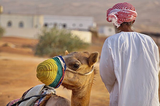 Bediyah: Camel Safari through the Wahiba Sands Desert - Wahiba Sands at camel pace: why this feels different in Oman