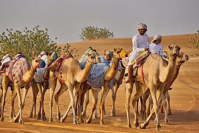 Bediyah: Camel Safari through the Wahiba Sands Desert - Bedouin villages, Arabic coffee, dates, and learning a few words