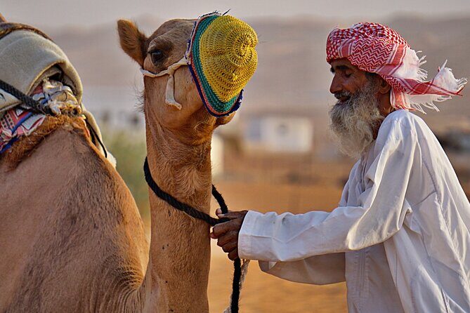 Bediyah: Camel Safari through the Wahiba Sands Desert - Dunes, comfort, and what your body needs to handle