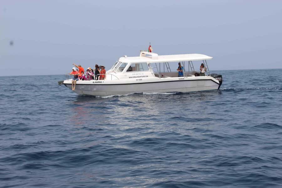 Coastal & Sunset Cruise in Muscat - Why This Muscat Sunset Cruise Works Better Than a Road View