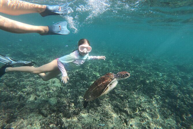 Cruises to Daymaniyat & Snorkeling - Snorkel Gear, Food, and the Small Comfort Wins