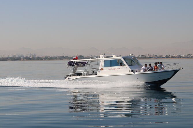 Cruises to Daymaniyat & Snorkeling - Who Should Book This Cruise (And Who Should Think Twice)