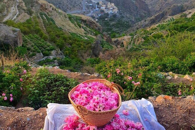Damascus Roses - Discover the secrets of Al Jabal Al Akhdhar - Key highlights you should not miss