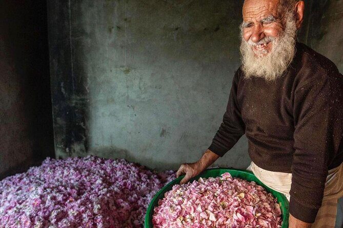 Damascus Roses - Discover the secrets of Al Jabal Al Akhdhar - Roses distillation by locals: seeing how scent becomes a product