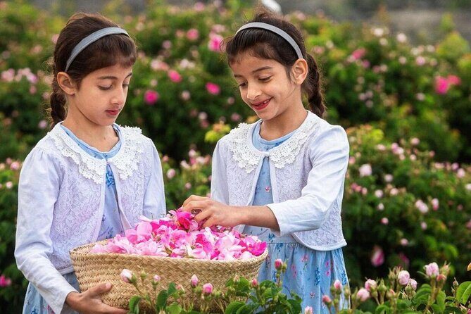 Damascus Roses - Discover the secrets of Al Jabal Al Akhdhar - Transportation and comfort: why it’s easier than DIY