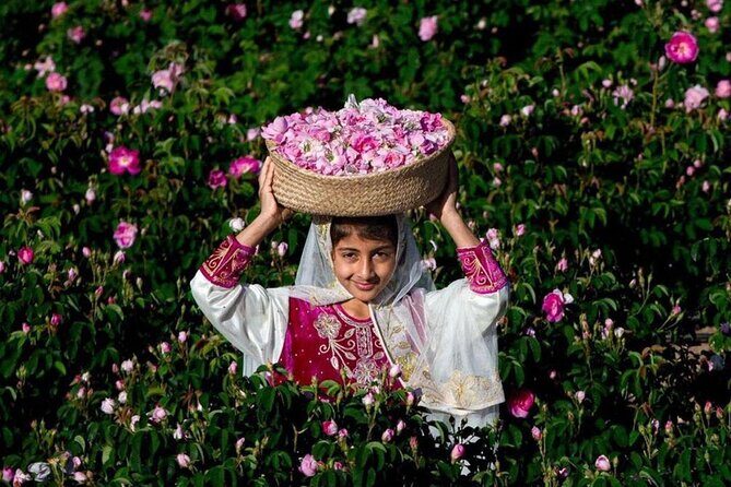 Damascus Roses - Discover the secrets of Al Jabal Al Akhdhar - Morning logistics from Muscat: pickup, start time, and pacing