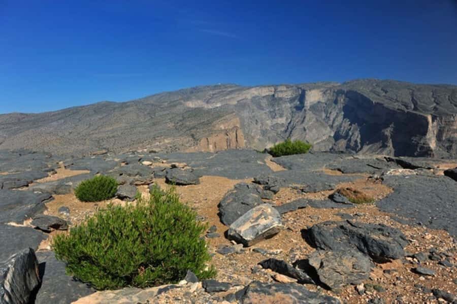 Day Trip to Jabal Shams, Wadi Nakhar, Misfat Al Abriyeen - Lunch, breaks, and how to pace yourself across the day