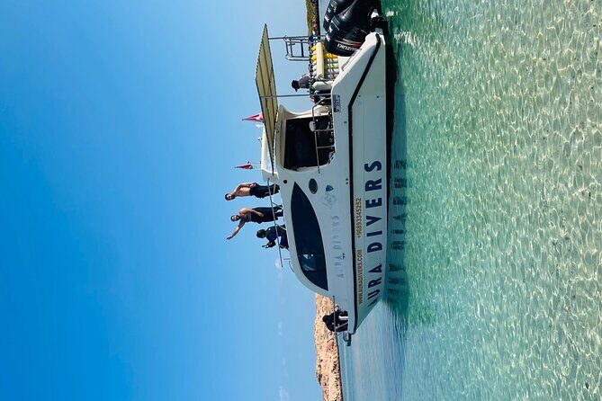 Daymaniyat Islands Snorkeling 2 different snorkeling sites and Lunch included - The snorkeling setup: gear included, simple rules to make it easier