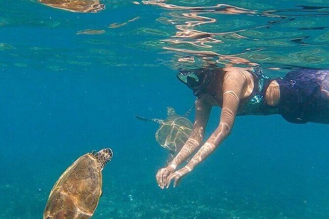 Daymaniyat Islands Snorkeling Half-Day Tour - Key highlights to know before you book