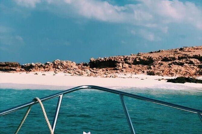 Daymaniyat Islands Snorkeling Half-Day Tour - Ad Dimaniyat snorkeling spots: what you can expect to see