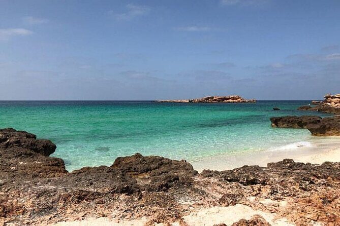 Daymaniyat Islands Snorkeling Half-Day Tour - Sanitized snorkeling gear and how the day is paced