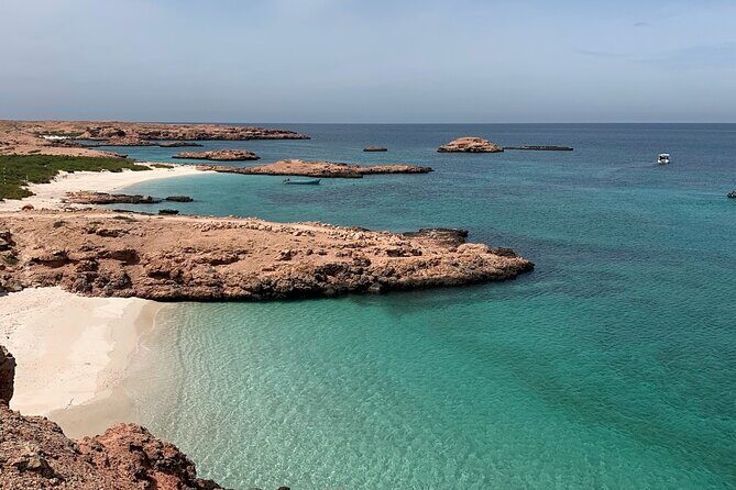 Daymaniyat Islands Snorkeling Sharing Trip - Price and value at $106: what you’re really paying for