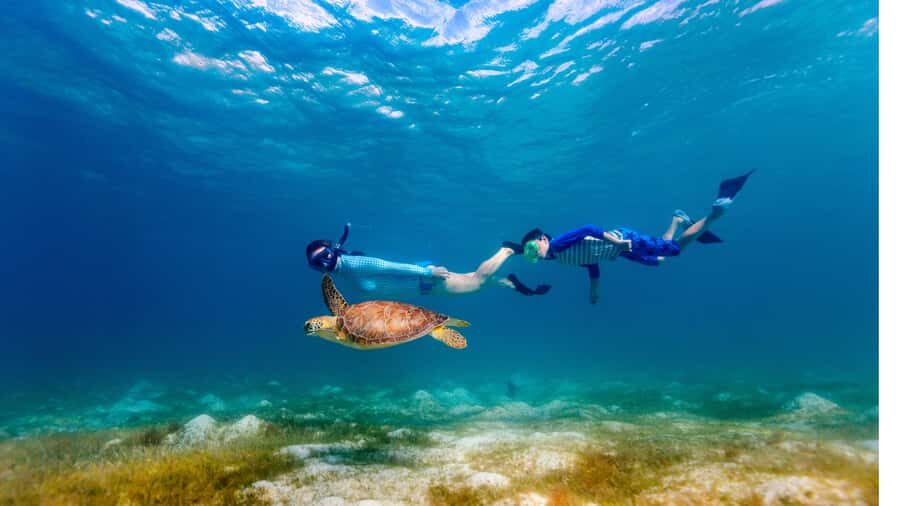 Daymaniyat Islands Snorkeling Small Group Turtles - Safety briefing and gear fitting: where the trip gets easier