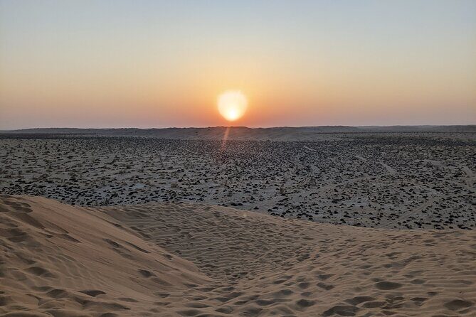 Desert Safari in Empty Quarter with Dune Bashing - Wadi Dawkha and Frankincense Trees: UNESCO in the Morning