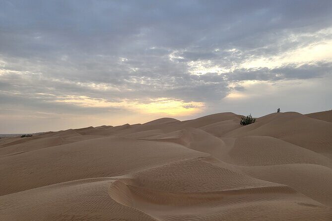 Desert Safari in Empty Quarter with Dune Bashing - Price, Inclusions, and What to Budget