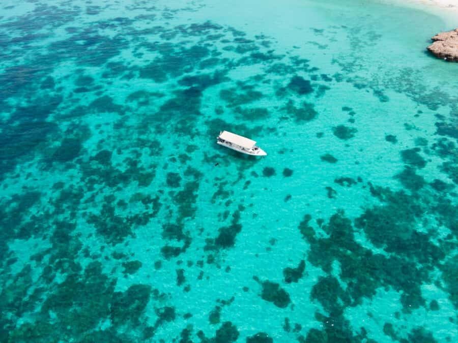 Dimaniyat Islands Scuba Diving Trip - Value And Price: What $165 Covers (And What You Might Add)