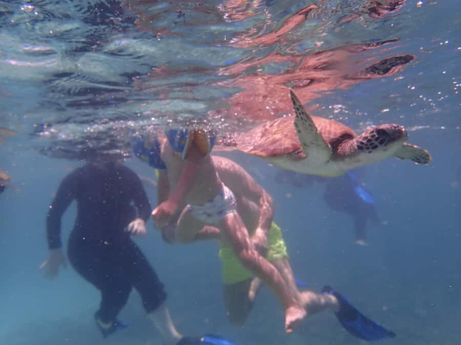 Dimaniyat Islands Snorkeling Trip - Ad Dimaniyat Islands snorkeling: the protected-water payoff
