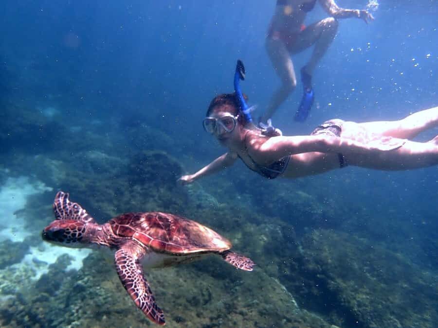 Dimaniyat Islands Snorkeling Trip - The pace that keeps you comfortable: 270 minutes with real breaks