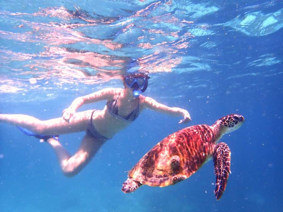 Dimaniyat Islands Snorkeling Trip - Who should book this Dimaniyat Islands trip
