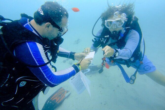 Discover Scuba Diving from a Fishing Village - The Qantab home reef: what you’ll look for underwater