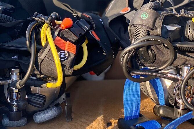 Discover Scuba Diving from a Fishing Village - Value check: is $138 fair for a 2-hour PADI-led session?