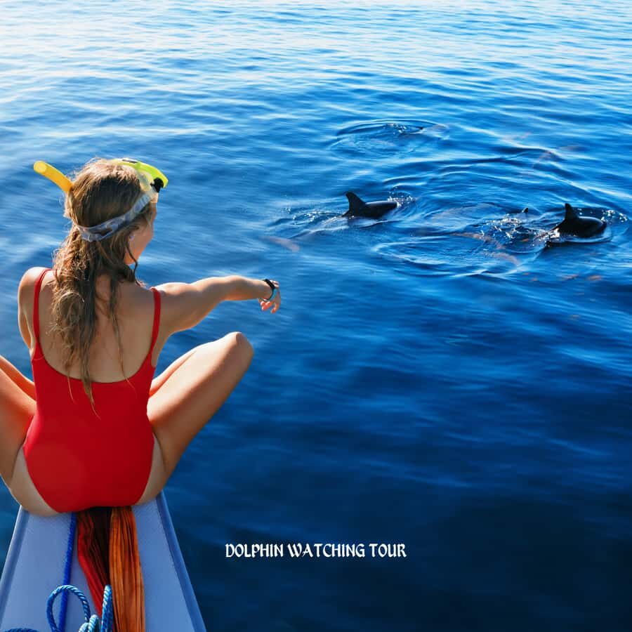 Dolphin Watching and Snorkeling Tour with Hotel Transfers - Key Things That Make This Tour Worth Your Time