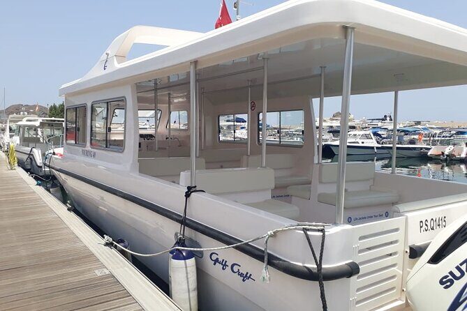Dolphin Watching in Muscat - Qantab Beach Snorkeling: The Best Way to Stretch Your Sea Time