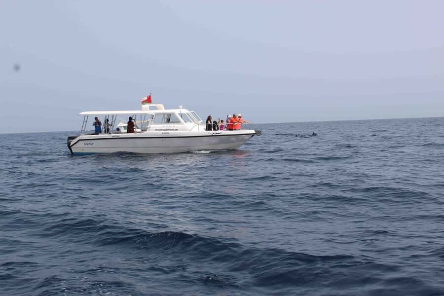 Dolphin Watching Tour - Dolphin watching from Marina Bandar Al Rowdha: fast, practical, and focused