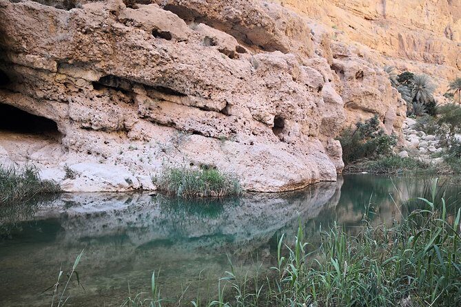 East Coast and Wadi Shab tour - Price and value: $400 per group, up to 4, for a full circuit