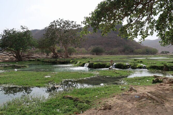East of Salalah, Mountain Safari, Camels, Waterfall, White beach - Price and logistics: what $117 buys you (and what it doesn’t)